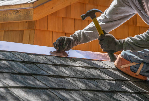 Best Roof Ventilation Installation  in Fort Dodge, IA