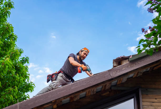 Best Roof Moss and Algae Removal  in Fort Dodge, IA