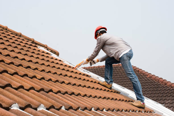 Steel Roofing in Fort Dodge, IA