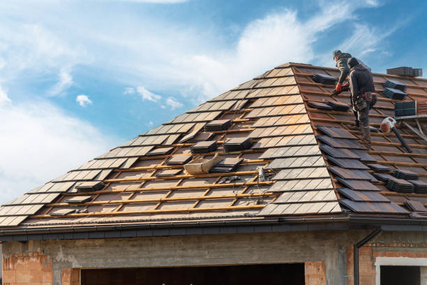 Best Metal Roofing Installation  in Fort Dodge, IA